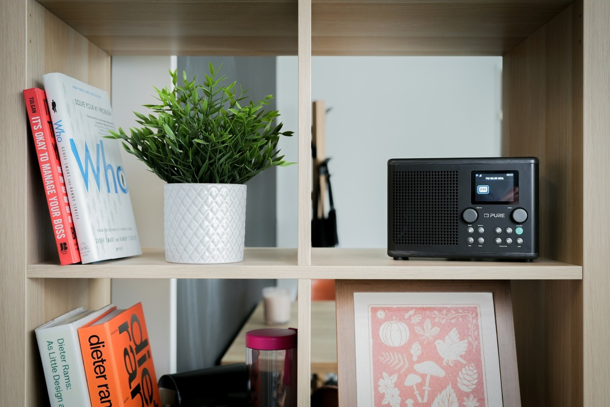 Une étagère en bois présente une plante en pot, des livres et une radio noire. En dessous, une image encadrée. Le fond est un mur clair.