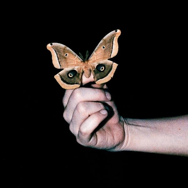 Une main tient un grand papillon de nuit. Le papillon a des ailes marron avec des marques en forme d'yeux. Le fond est noir uni.