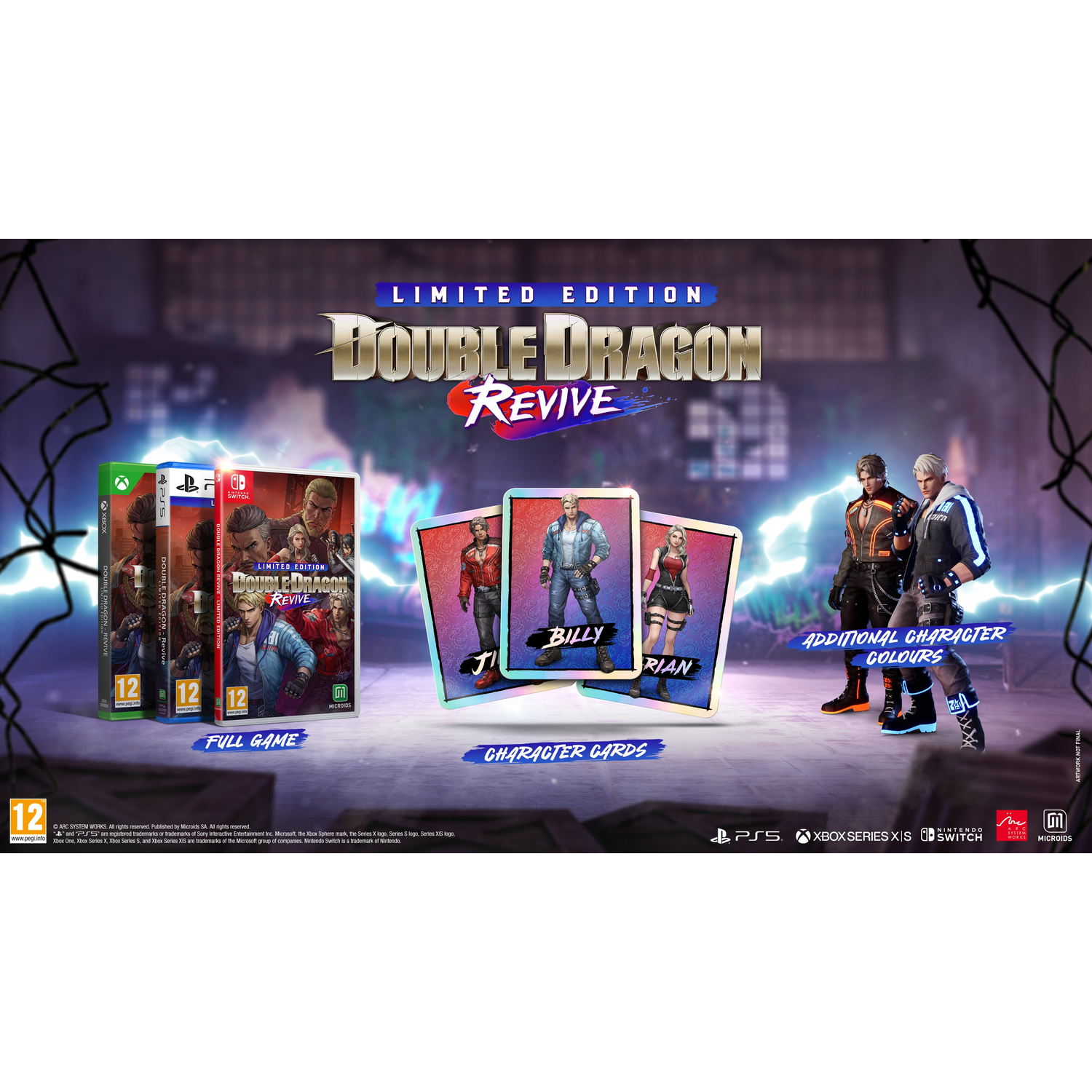 Limited Edition Double Dragon Revive game. Met dozen, karakterkaarten en extra kleuropties.