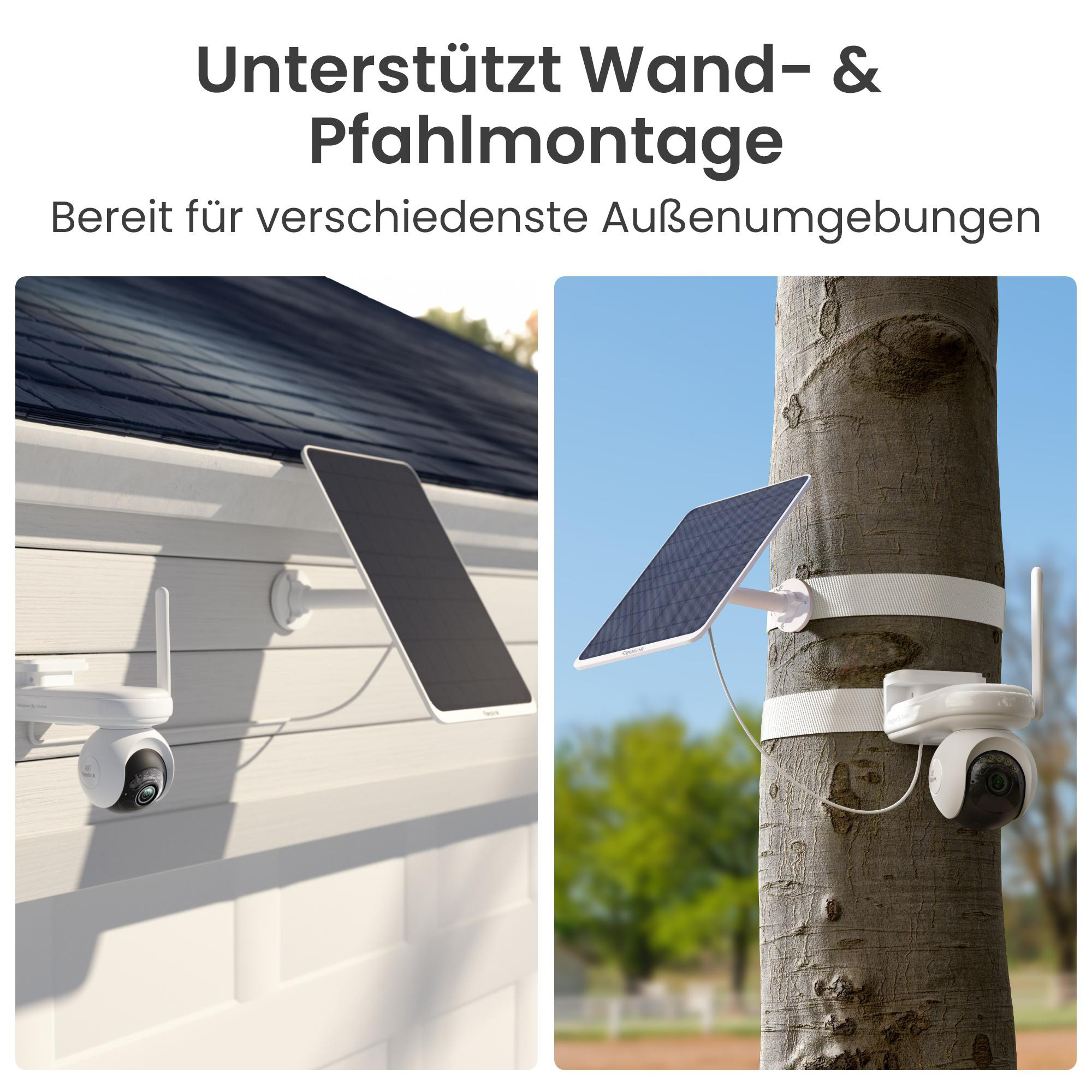 Bild zeigt zwei Überwachungskameras mit Solarpanelen, eine an einer Wand und die andere an einem Baum. Der Himmel ist blau.