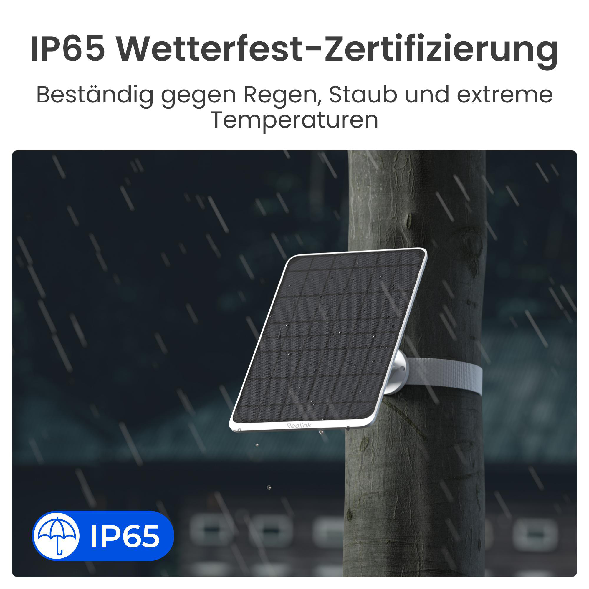 Ein Solarpanel an einem Baum im Regen. Es ist IP65-zertifiziert. Oben steht 'IP65 Wetterfest-Zertifizierung'.