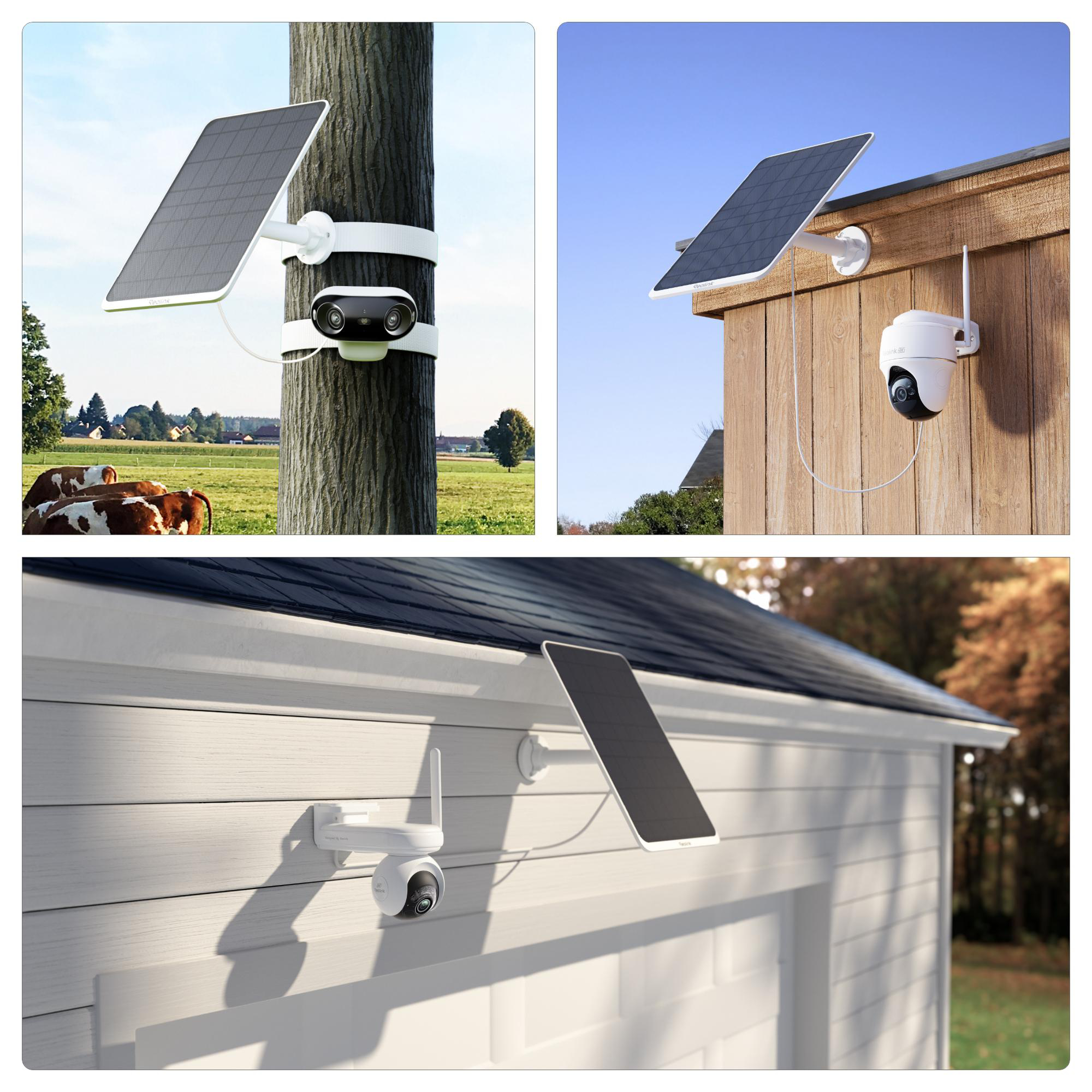 Drei Bilder von Überwachungskameras mit Solarpanels. Eine an einem Baum, eine an einer Holzwand und eine an einem weißen Gebäude.