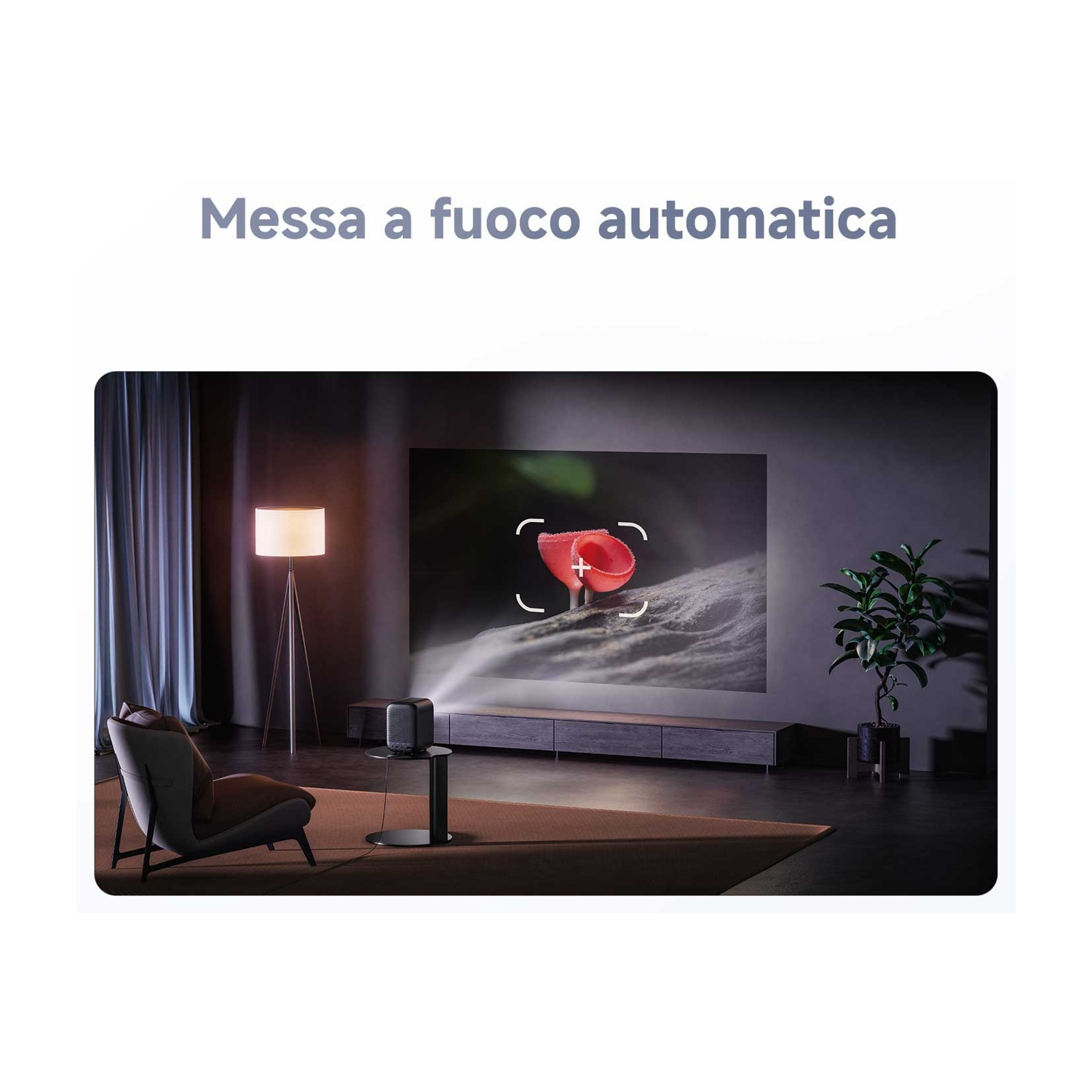 Un proiettore mostra un primo piano di un fungo a coppa rosso. La scena è una stanza moderna con lampada, sedia e pianta.