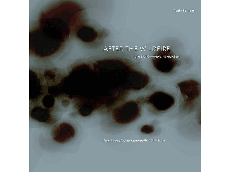 Arve / Jan Bang Henriksen - After the Wildfire - (CD)