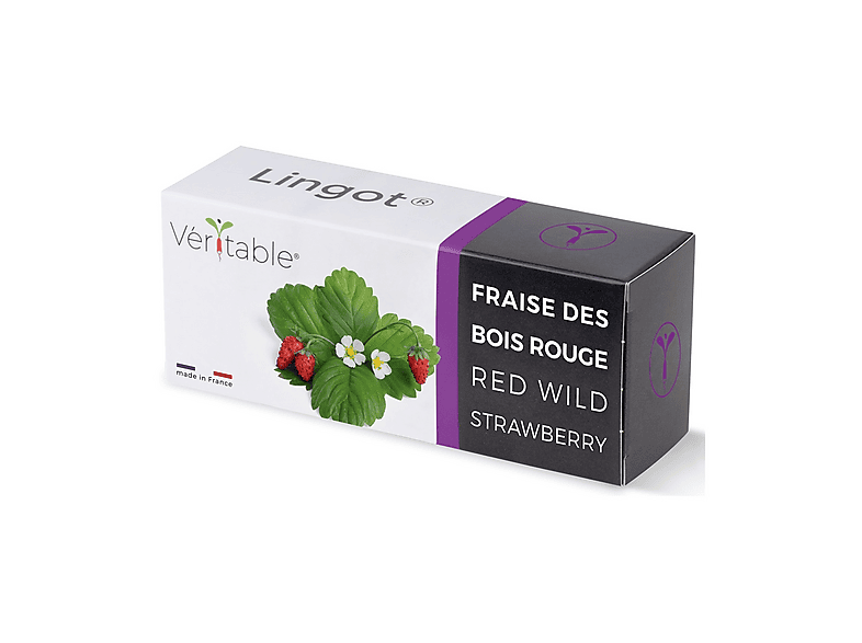 Ricarica Semi Integrati Veritable Lingot Fragola rossa