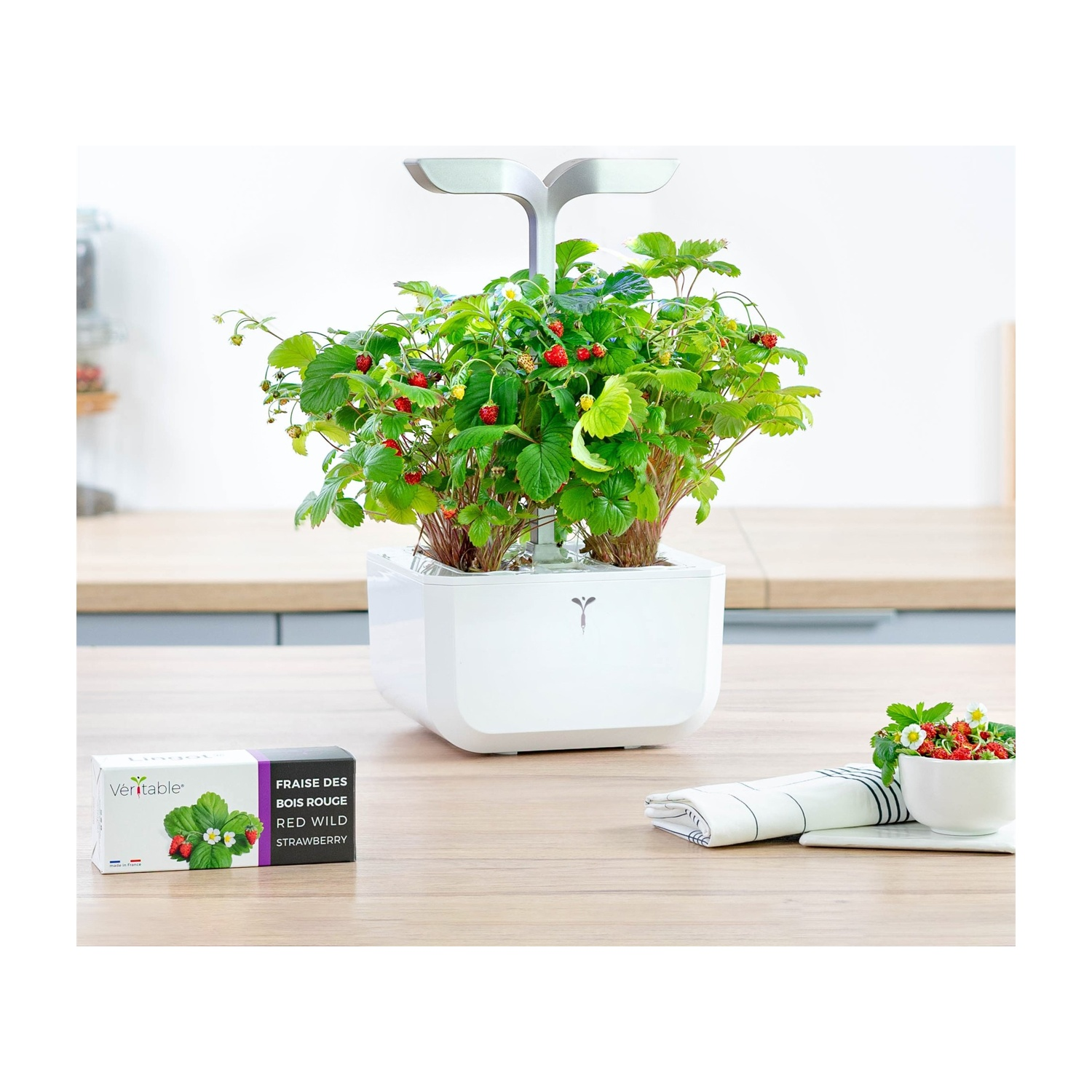 Un piano di lavoro bianco con una pianta di fragole in un vaso bianco, una scatola di semi e una ciotola di fragole.