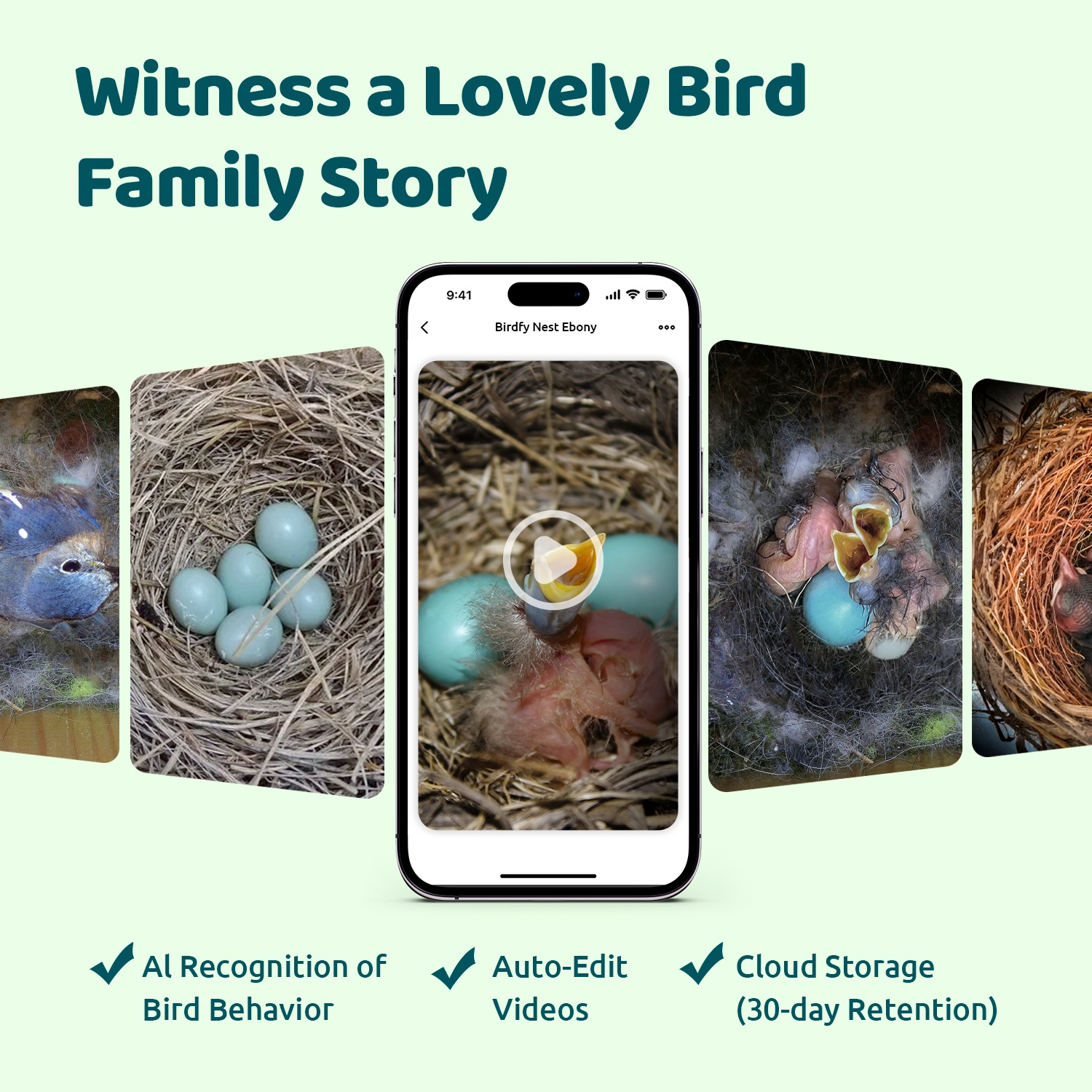 Afbeelding toont een smartphone met een vogelnest met eieren en kuikens. Tekst promoot AI-herkenning van vogelgedrag, automatisch bewerken van video's, cloudopslag.