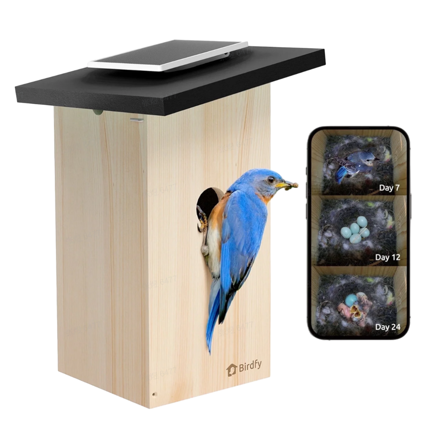 Een blauwe vogel zit bij de ingang van een vogelhuisje. Het vogelhuisje heeft een zwart dak en een zonnepaneel. Een telefoon toont de nestvoortgang.