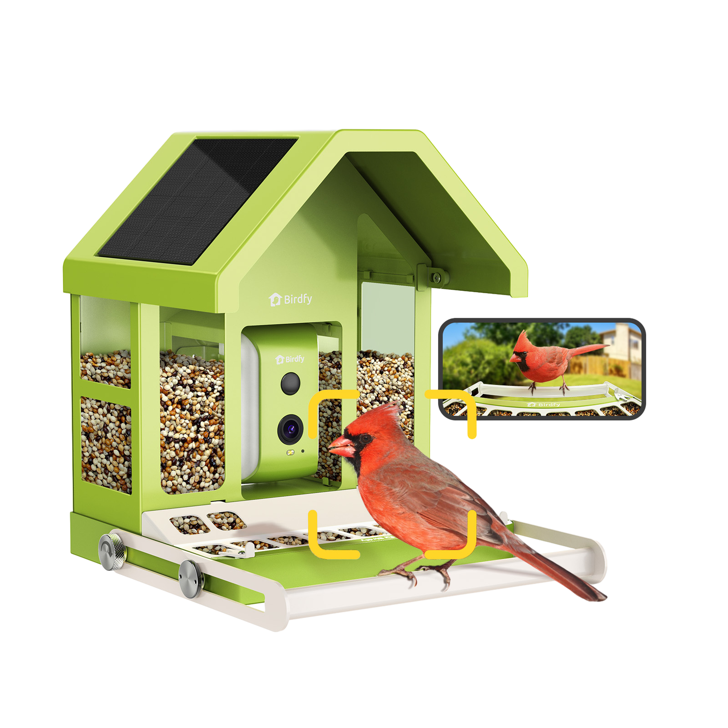Een groene vogelvoeder met een rode kardinaalvogel. De voeder heeft een camera en zonnepaneel. Een telefoon toont de vogel.