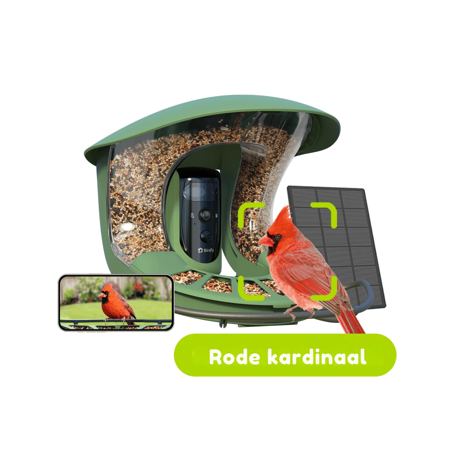 Un cardinal rouge perché sur une mangeoire avec caméra et panneau solaire. Un téléphone affiche l'oiseau. Texte : 'Rode kardinaal'.