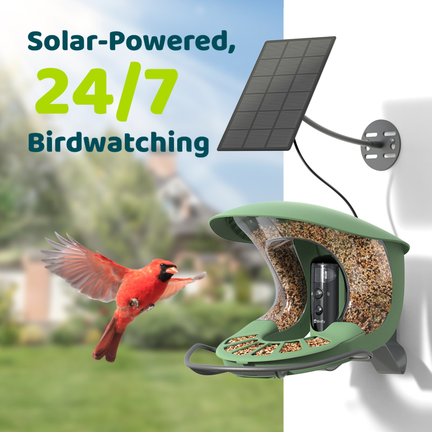 Un distributeur de nourriture pour oiseaux à énergie solaire avec un oiseau rouge qui vole vers lui. Texte : 'Observation des oiseaux 24h/24 et 7j/7, alimenté par l'énergie solaire'.