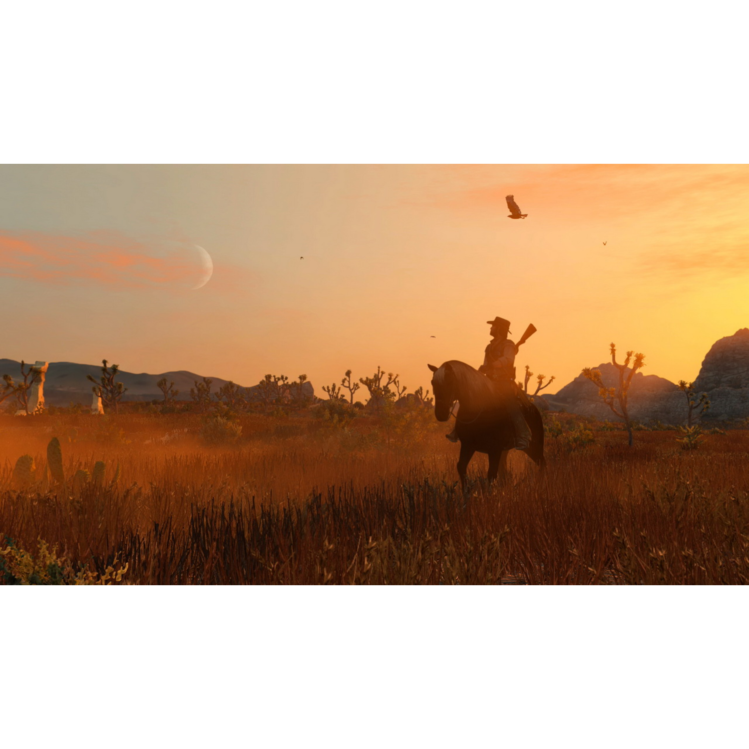 Een cowboy rijdt op een paard door een woestijnlandschap bij zonsondergang. Vogels vliegen, een maan is zichtbaar.
