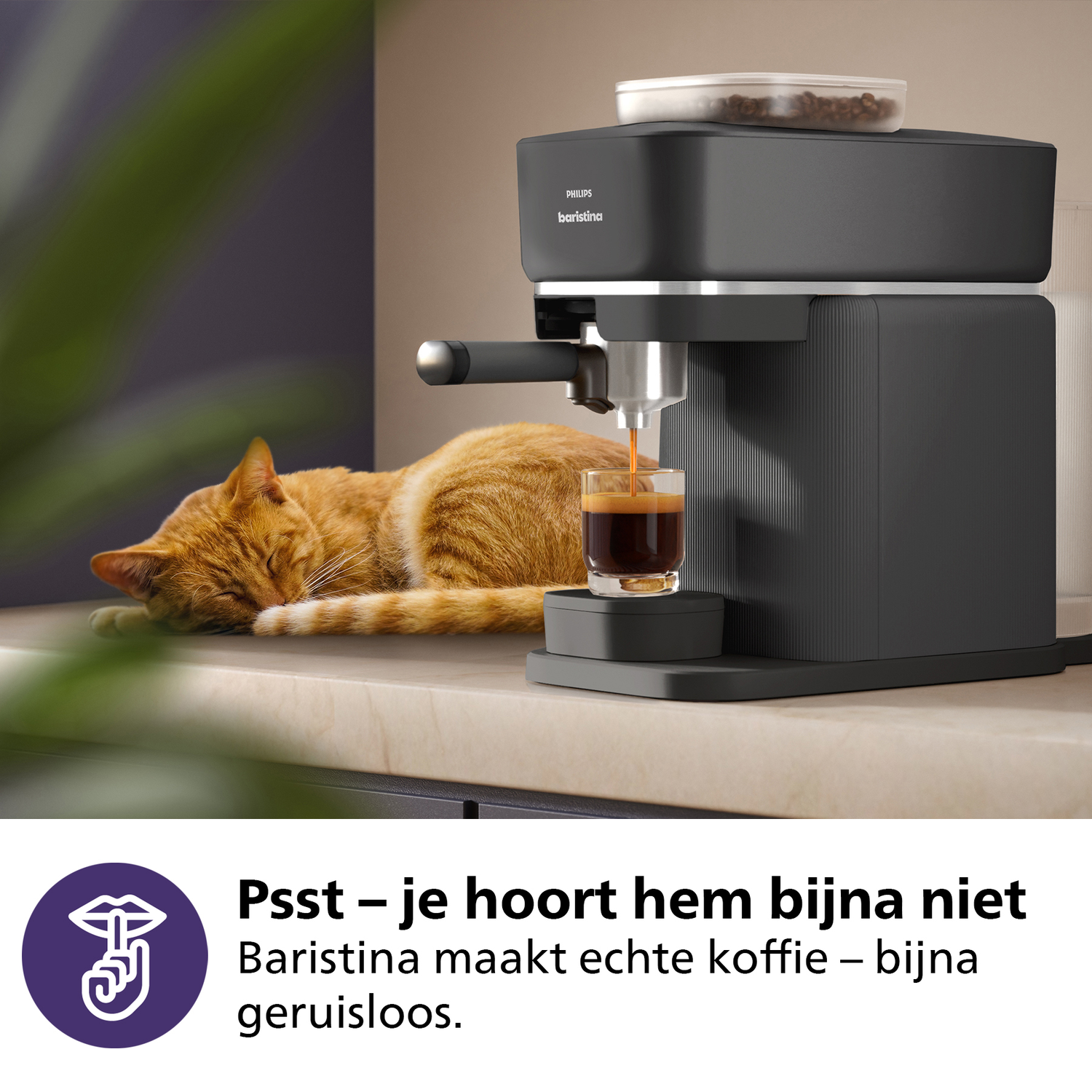 A black Philips barista coffee machine is making coffee into a glass. An orange cat is sleeping beside the machine.