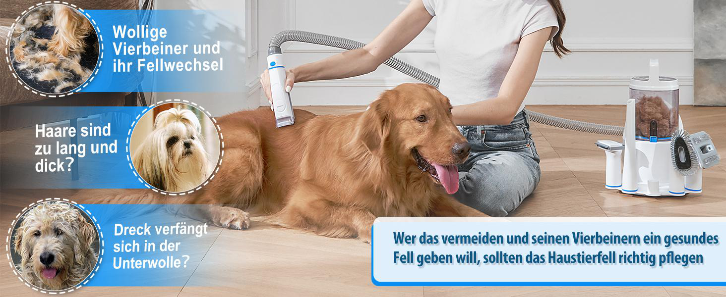 Eine Person, die einen Golden Retriever mit einem Haustierpflegesauger pflegt. Das Bild enthält Text auf Deutsch über die Haustierpflege.