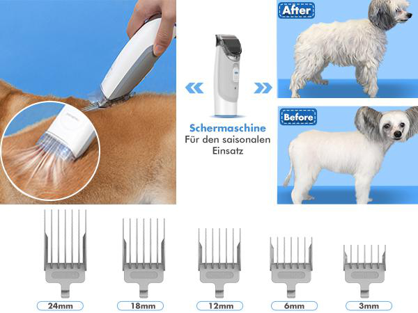Ein Hund wird mit einem Clipper rasiert. Zeigt Vorher-/Nachher-Pflege. Clipperköpfe und ein Clipper werden mit Textbeschriftungen angezeigt.