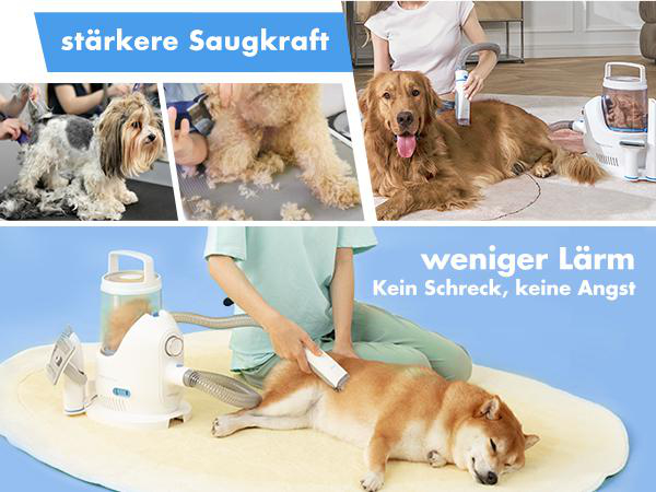 Hunde werden mit elektrischen Pflegegeräten gepflegt. Das Bild zeigt den Prozess der Haarentfernung bei Hunden mit Spezialausrüstung.