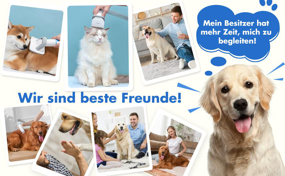 Collage von Haustieren und Besitzern. Hunde und Katzen werden gepflegt und gestreichelt. Text: 'Wir sind beste Freunde! Mein Besitzer hat mehr Zeit, mich zu begleiten!'