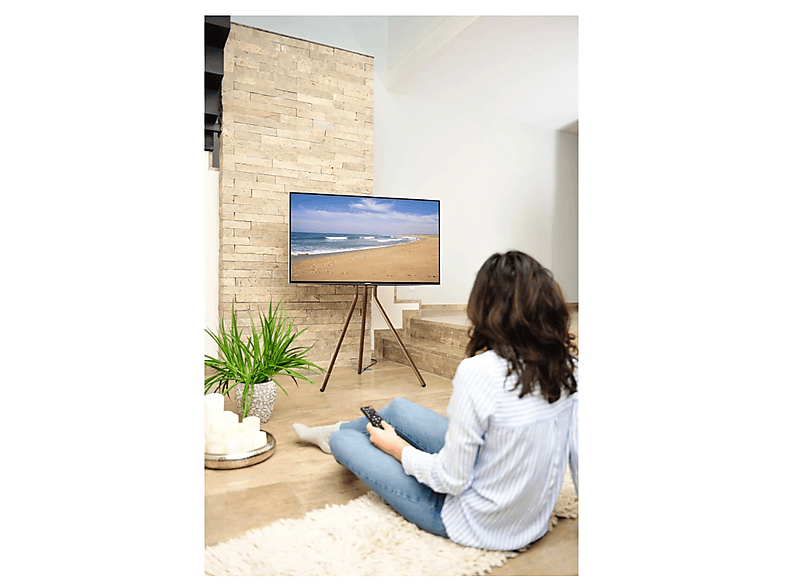 Vista 2