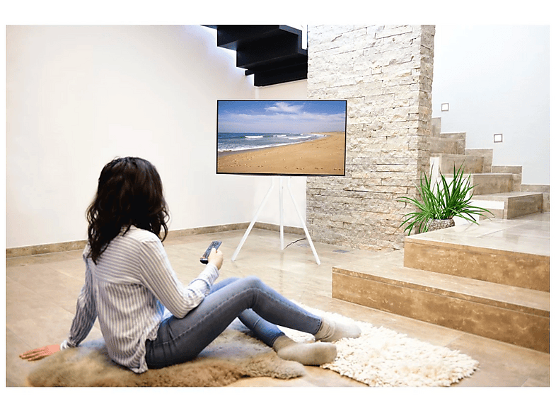 Vista 3