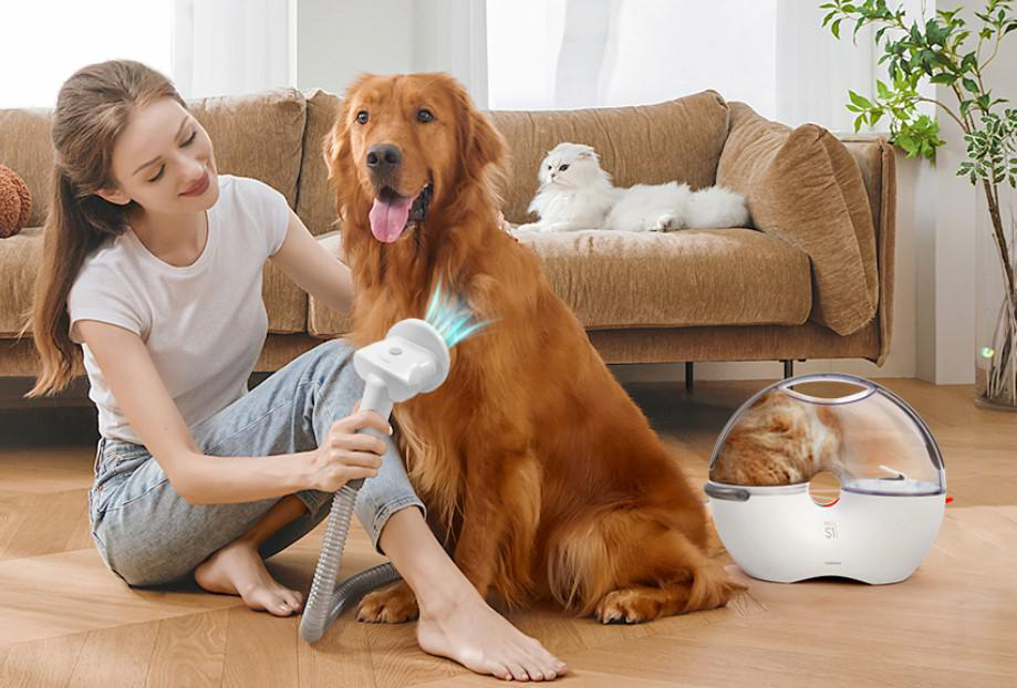 Eine Frau bürstet einen Golden Retriever mit einem Pflegegerät. Eine weiße Katze sitzt auf einer Couch. Eine Katze ist in einer Pflegemaschine.
