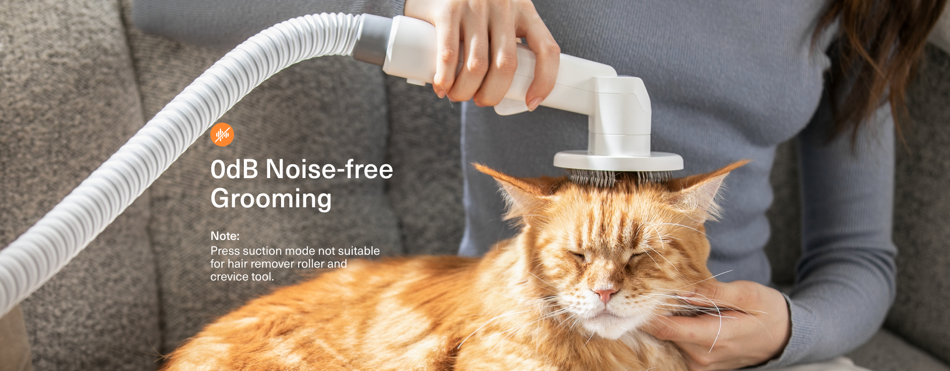 Eine Person pflegt eine orange Katze mit einem weißen Haustierpflege-Werkzeug. Die Katze liegt auf einer grauen Couch. Das Bild enthält Text 'OdB Noise-free Grooming'.