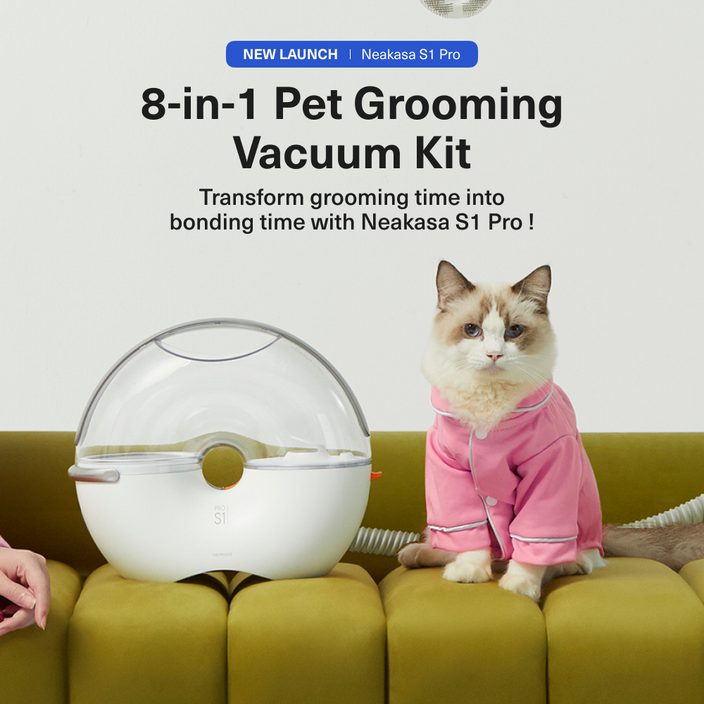 Eine Katze in rosa Pyjamas sitzt auf einem grünen Sofa neben einem weißen Tierpflege-Staubsauger-Set. Der Text lautet '8-in-1 Pet Grooming Vacuum Kit'.