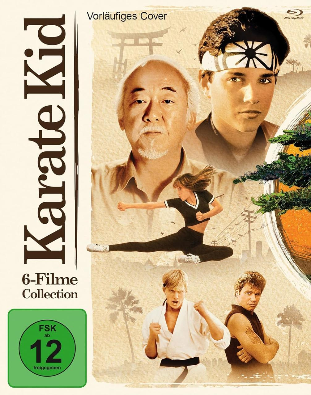Filmposter. Karatekämpfer in Posen. Titel 'Karate Kid' prominent. Bewertungssymbol und Text '6-Filme Collection'.