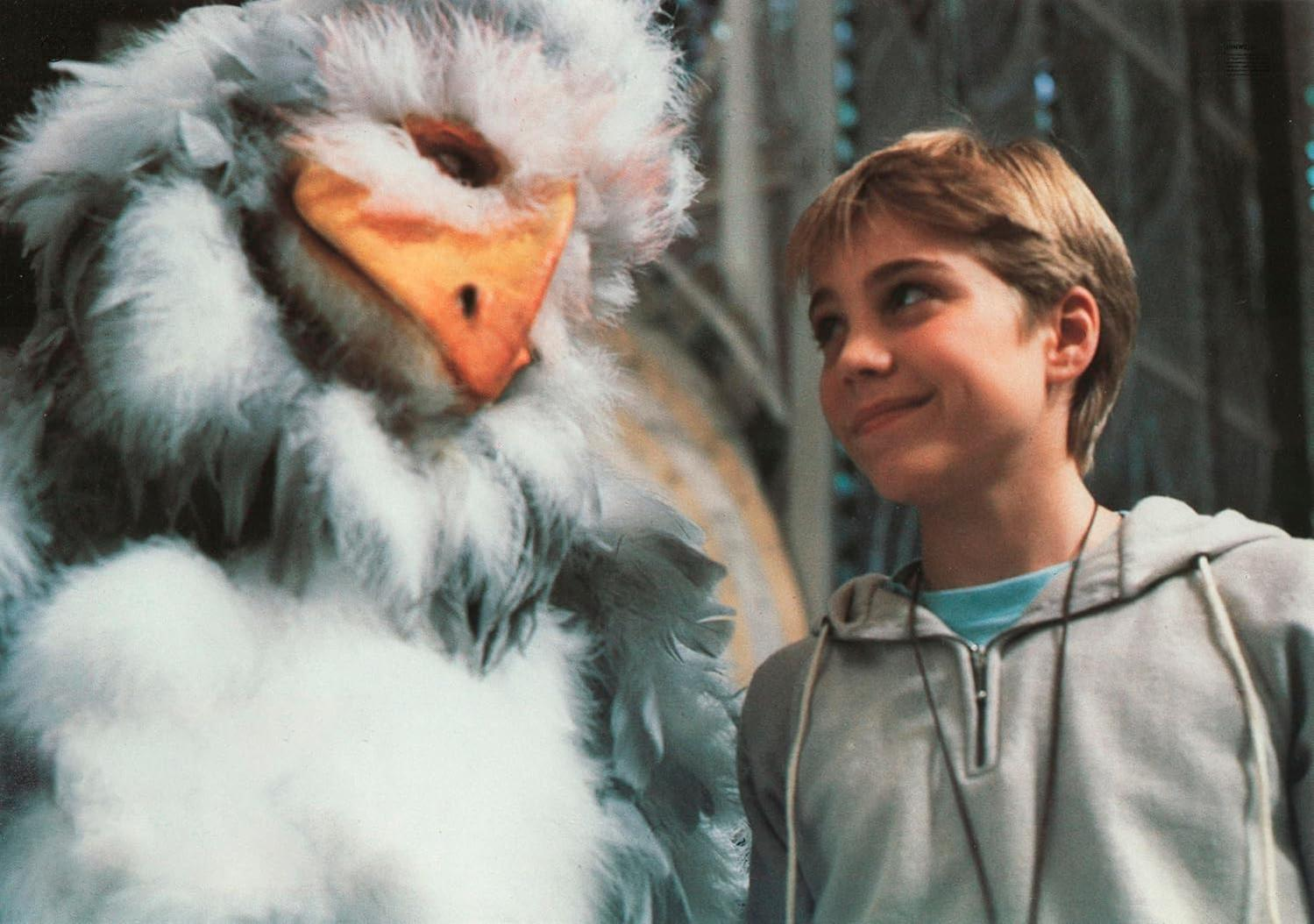 Ein Junge lächelt eine große Vogelpuppe mit gelbem Schnabel an. Der Vogel hat graue und weiße Federn. Der Junge trägt einen grauen Kapuzenpullover.
