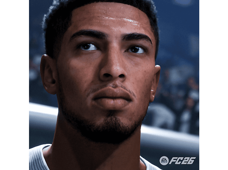 Vista 2