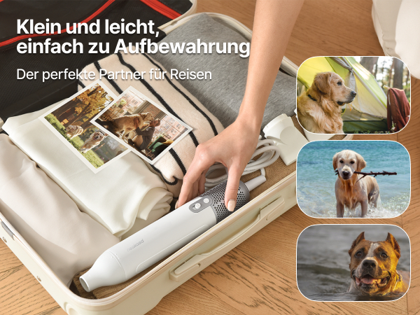 Ein Koffer ist offen, eine Hand greift hinein. Ein Haartrockner und Kleidung sind sichtbar. Drei Hunde-Bilder in der Ecke.