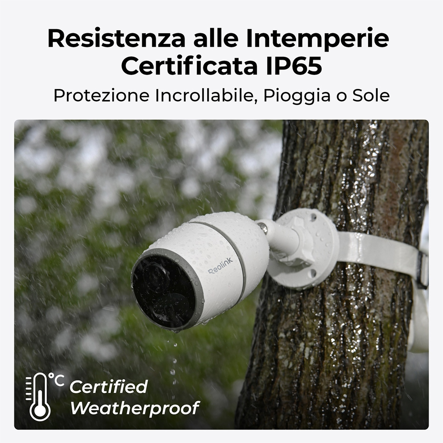 Una telecamera bianca resistente alle intemperie è montata su un albero. Gocce di pioggia sono visibili sulla telecamera e sulla corteccia dell'albero. Sfondo verde.