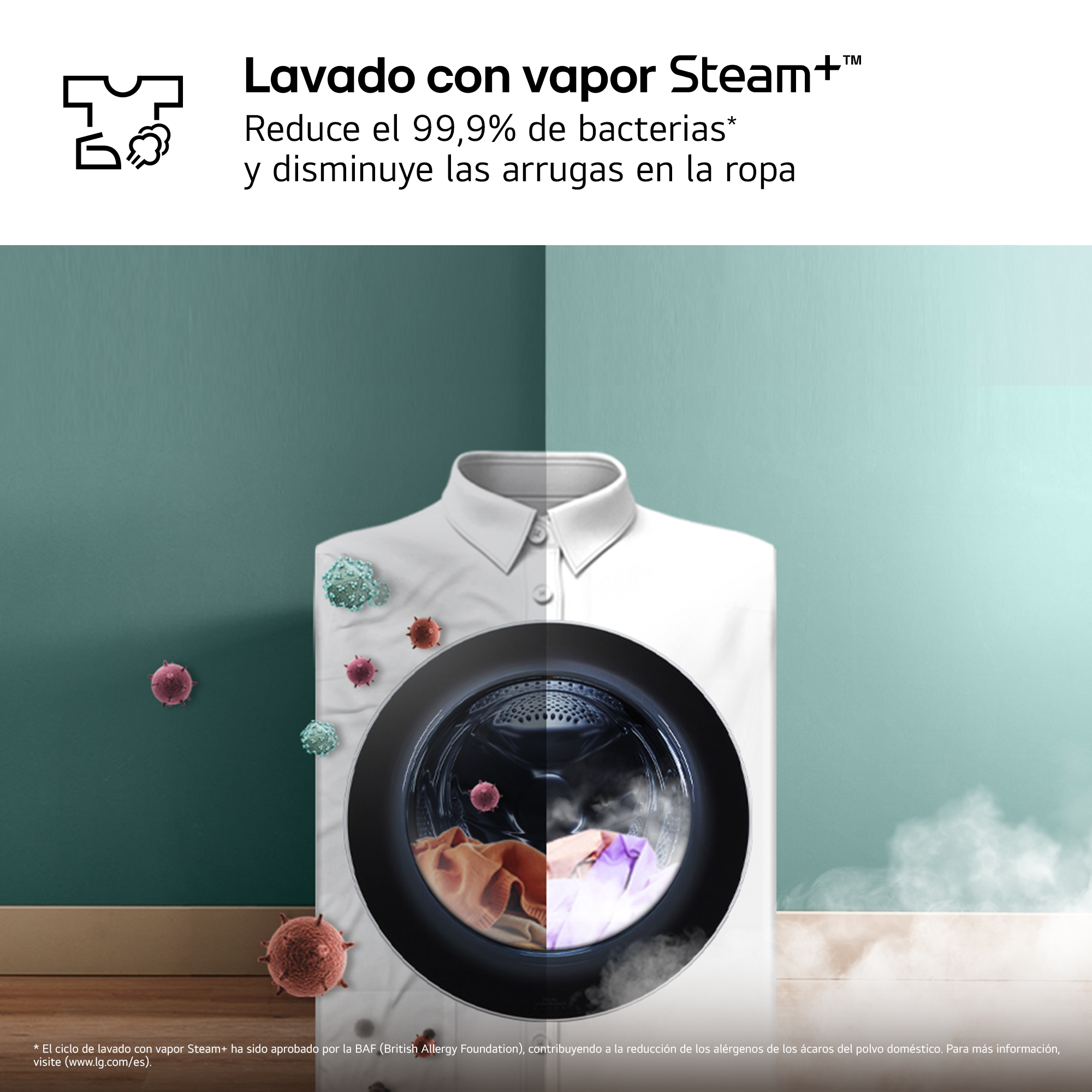 Una camisa blanca muestra una lavadora con ropa. Vapor y gérmenes rodean la camisa. El texto dice Steam+ reduce las bacterias.