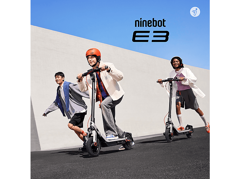 SEGWAY Ninebot E3 D E-Scooter (10 Zoll, Schwarz / Silber Rot)