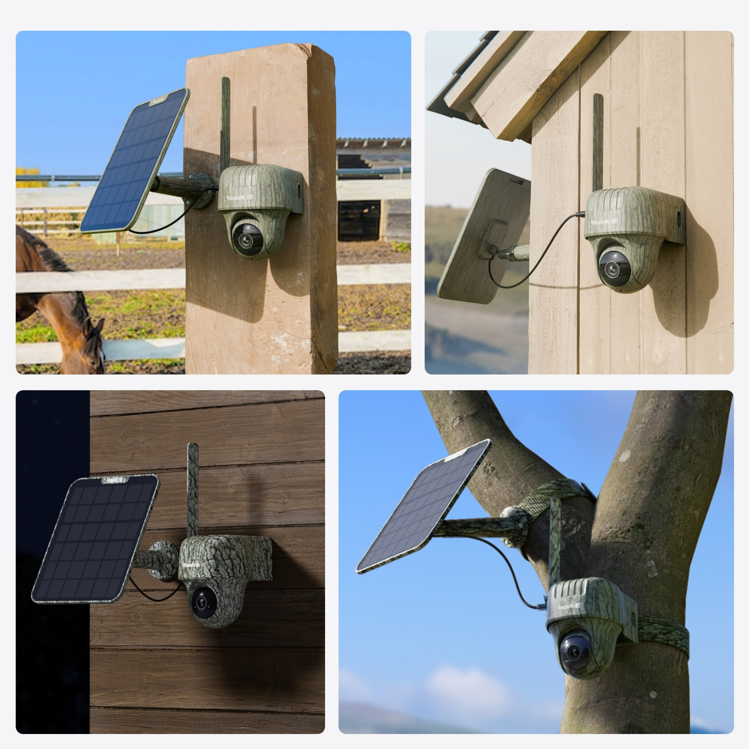 Quattro immagini mostrano telecamere di sicurezza con pannelli solari. Sono montate su un palo di legno, un muro e un albero. Le telecamere sono mimetizzate.