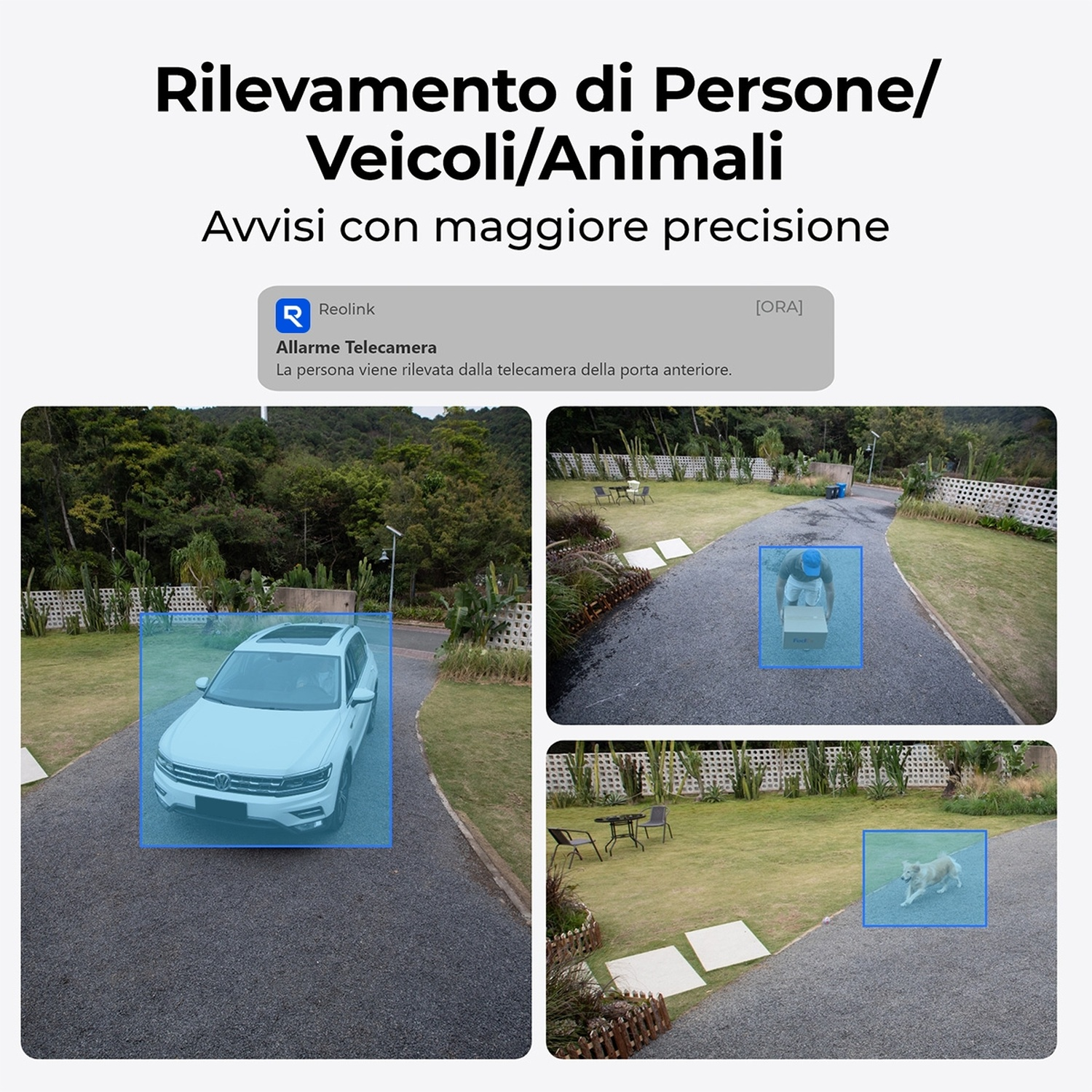 Una pubblicità mostra il rilevamento di auto, persone con scatole e cani. Il testo recita: Rilevamento di persone/veicoli/animali. Allerta telecamera Reolink.