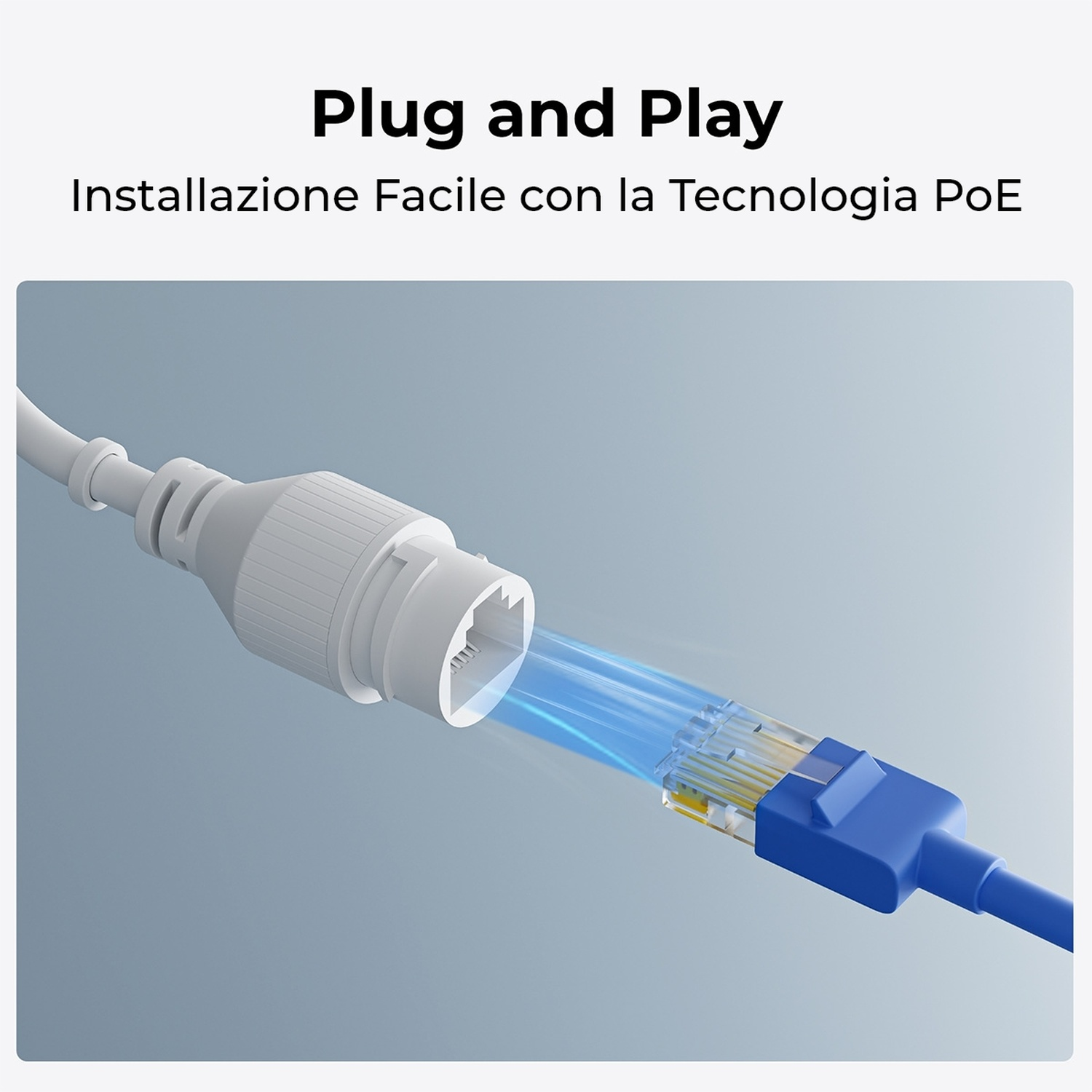 Un cavo Ethernet bianco e blu viene collegato. Lo sfondo è una sfumatura blu chiaro.