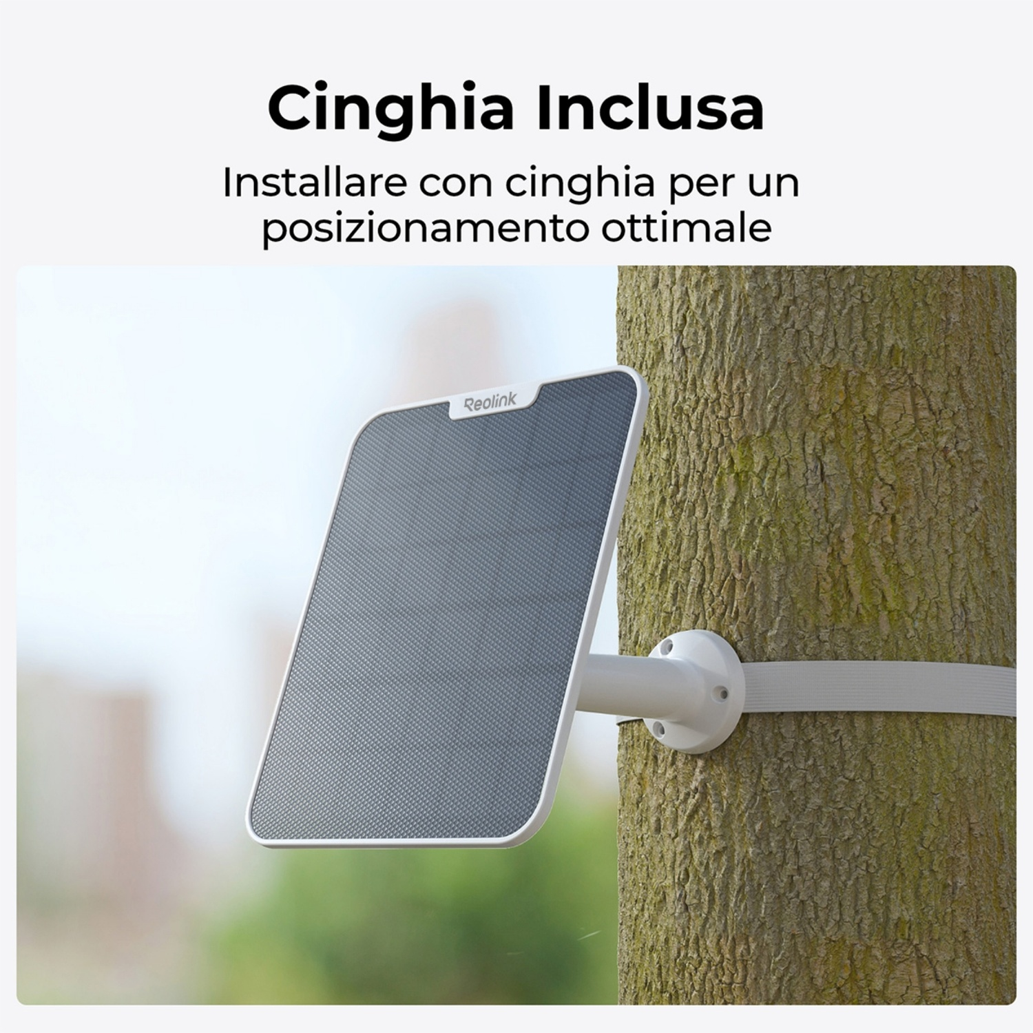 Un pannello solare fissato a un albero con una cinghia. Il pannello è grigio e l'albero ha la corteccia marrone. Testo: Cinghia Inclusa.