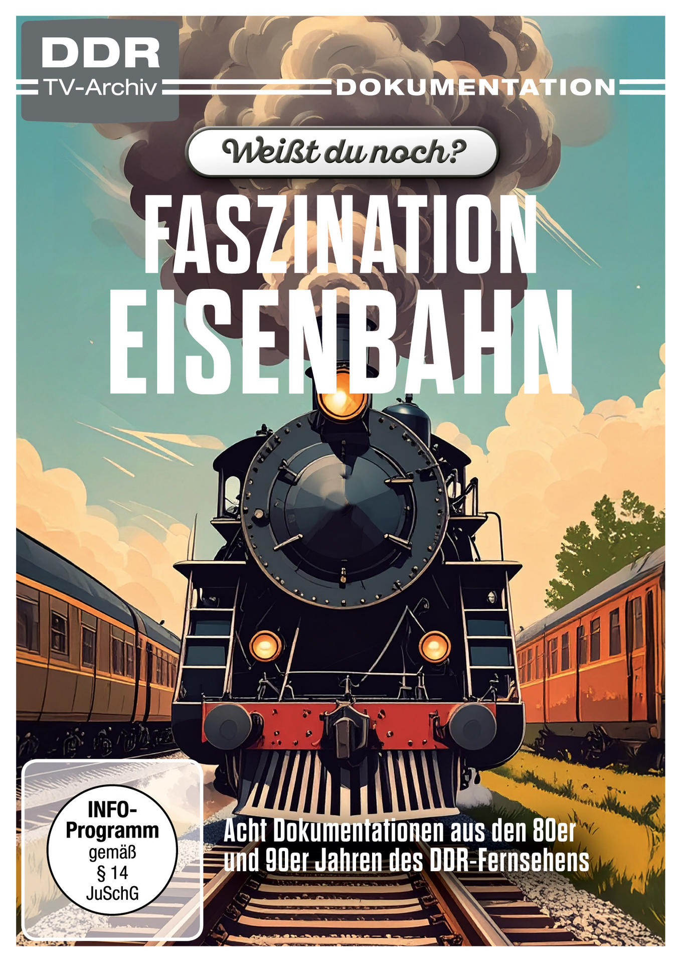 Cover einer DVD über Züge. Zeigt eine schwarze Dampflok mit dem Titel 'Faszination Eisenbahn'. Enthält Zugwagen und Text auf Deutsch.