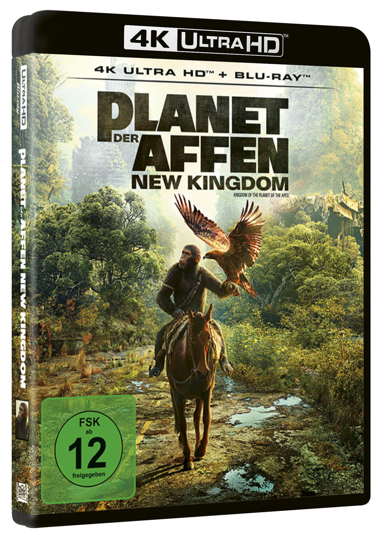 Filmcover zeigt Affen auf Pferd, Adler haltend. Titel: Planet der Affen. Grüner FSK 12 Aufkleber. Hintergrund: Wald, Ruinen.