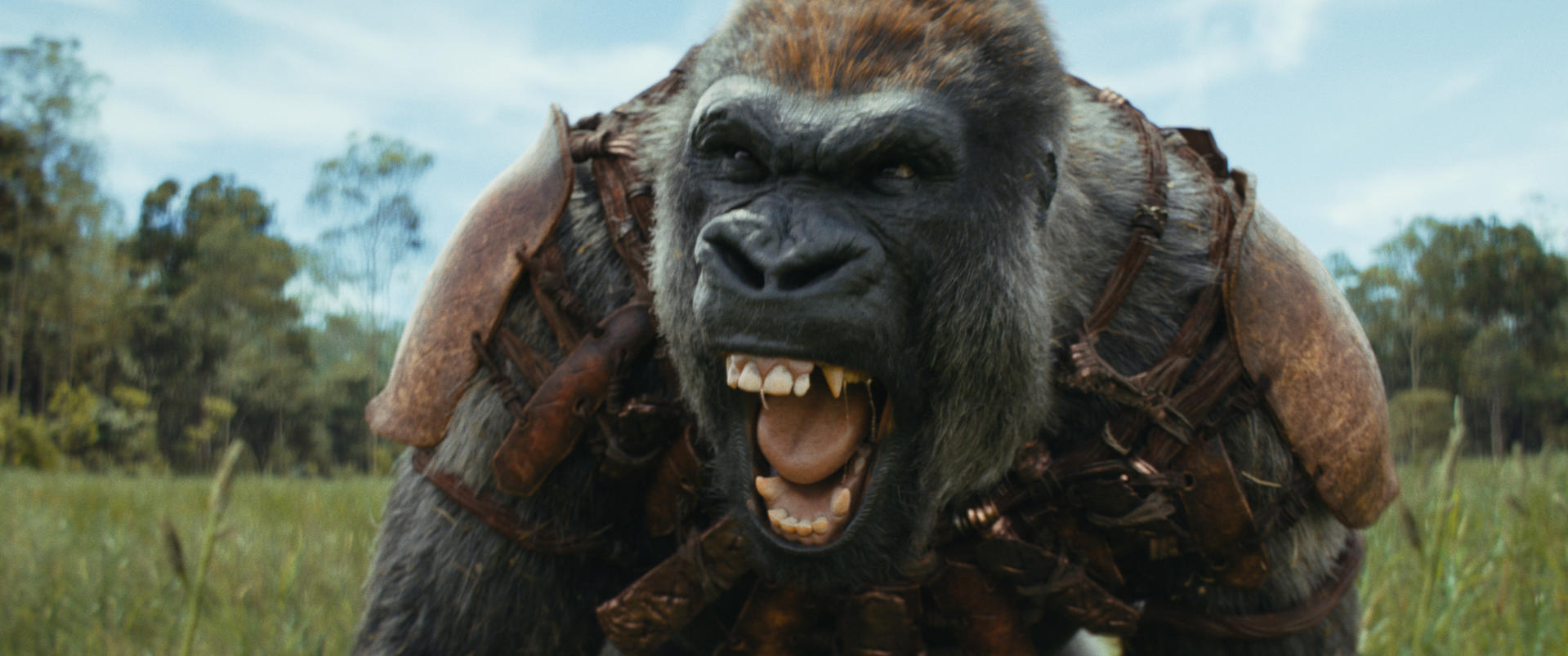 Ein Gorilla mit Rüstung brüllt und zeigt Zähne. Es befindet sich auf einem Feld, im Hintergrund Bäume und Himmel.