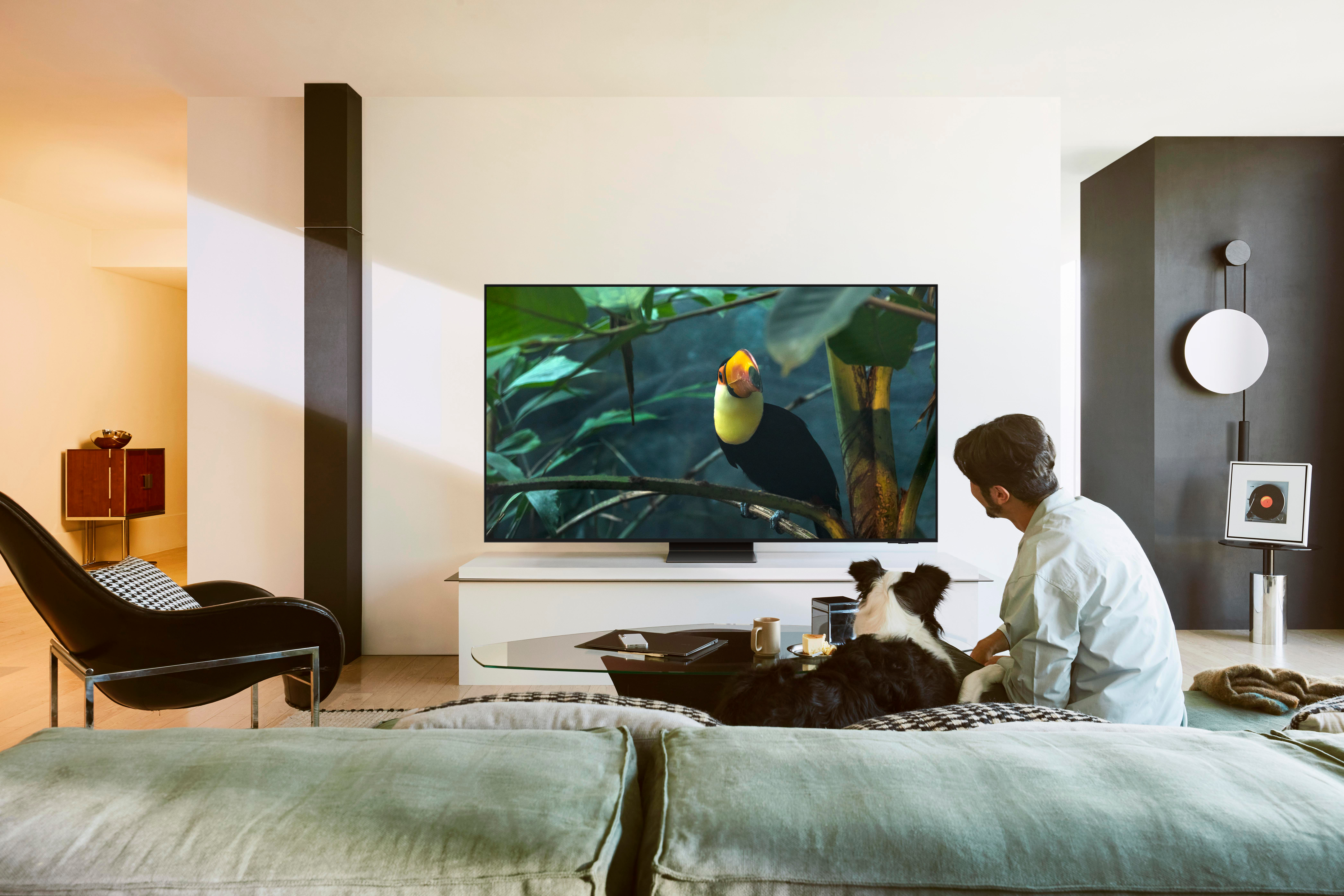 Ein Mann sitzt mit einem Hund vor einem Fernseher. Der Fernseher zeigt einen Tukan. Eine Couch, ein Stuhl und Dekoration sind ebenfalls im Wohnzimmer.