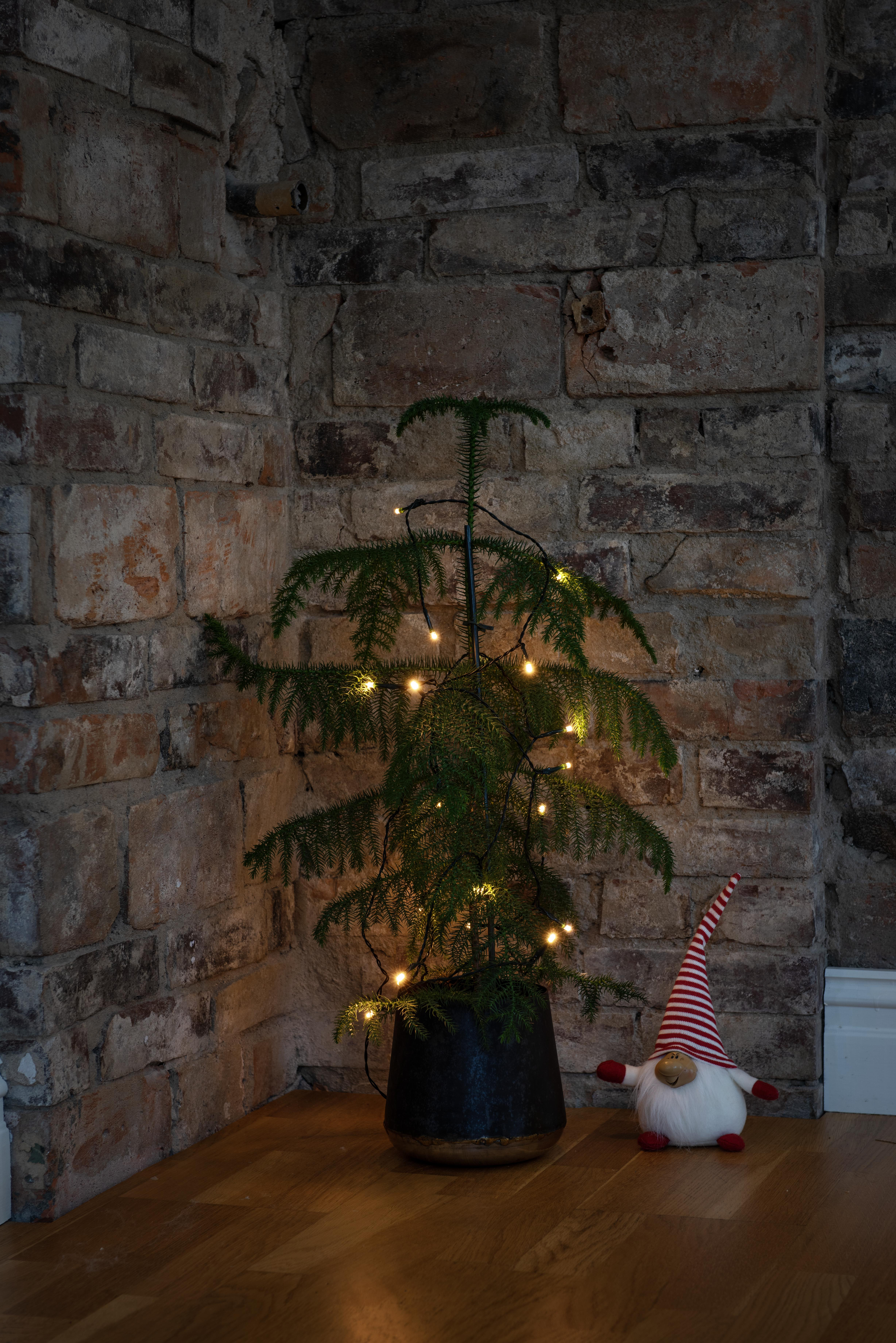 Ein kleiner Weihnachtsbaum mit Lichtern steht in einem schwarzen Topf. Ein Wichtel mit rot-weißem Hut steht daneben. Der Hintergrund ist Ziegel.