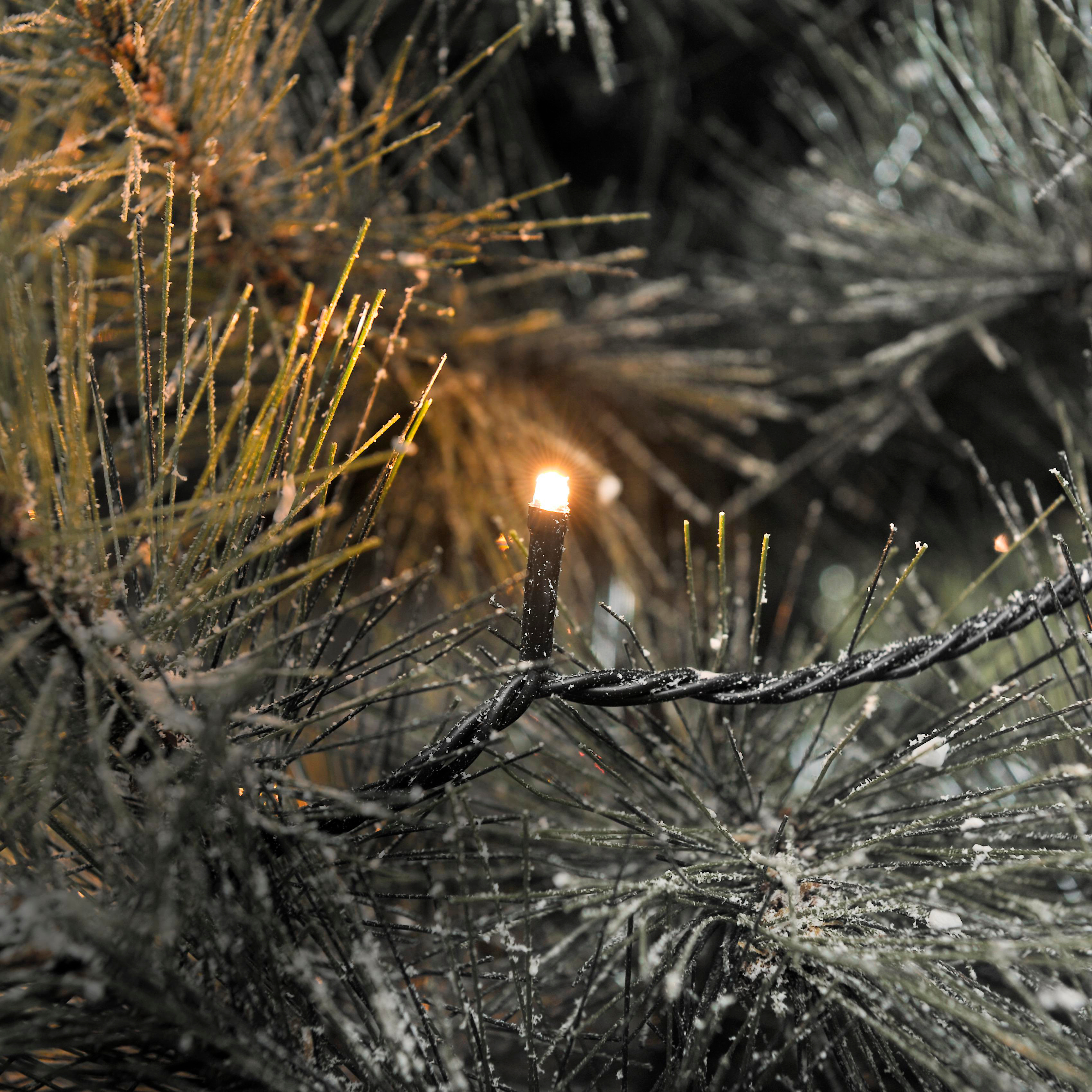 Nahaufnahme eines Weihnachtsbaums mit leuchtender Lichterkette. Die grünen Nadeln haben eine Schneebedeckung. Schwarzer Draht.