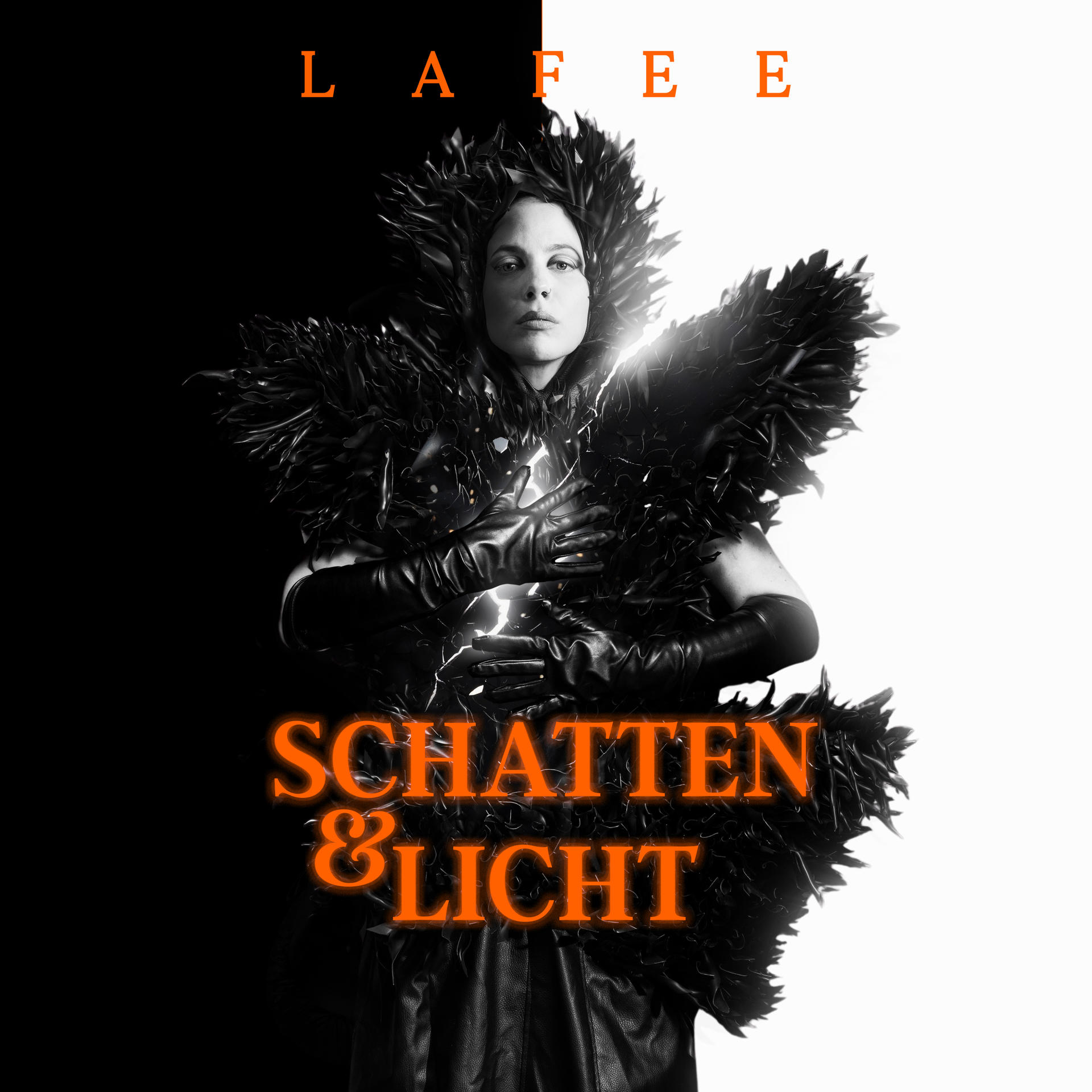 Albumcover mit Frau in schwarzen Federn, Handschuhen und Text 'Schatten & Licht'. Hintergrund ist halb schwarz und weiß.