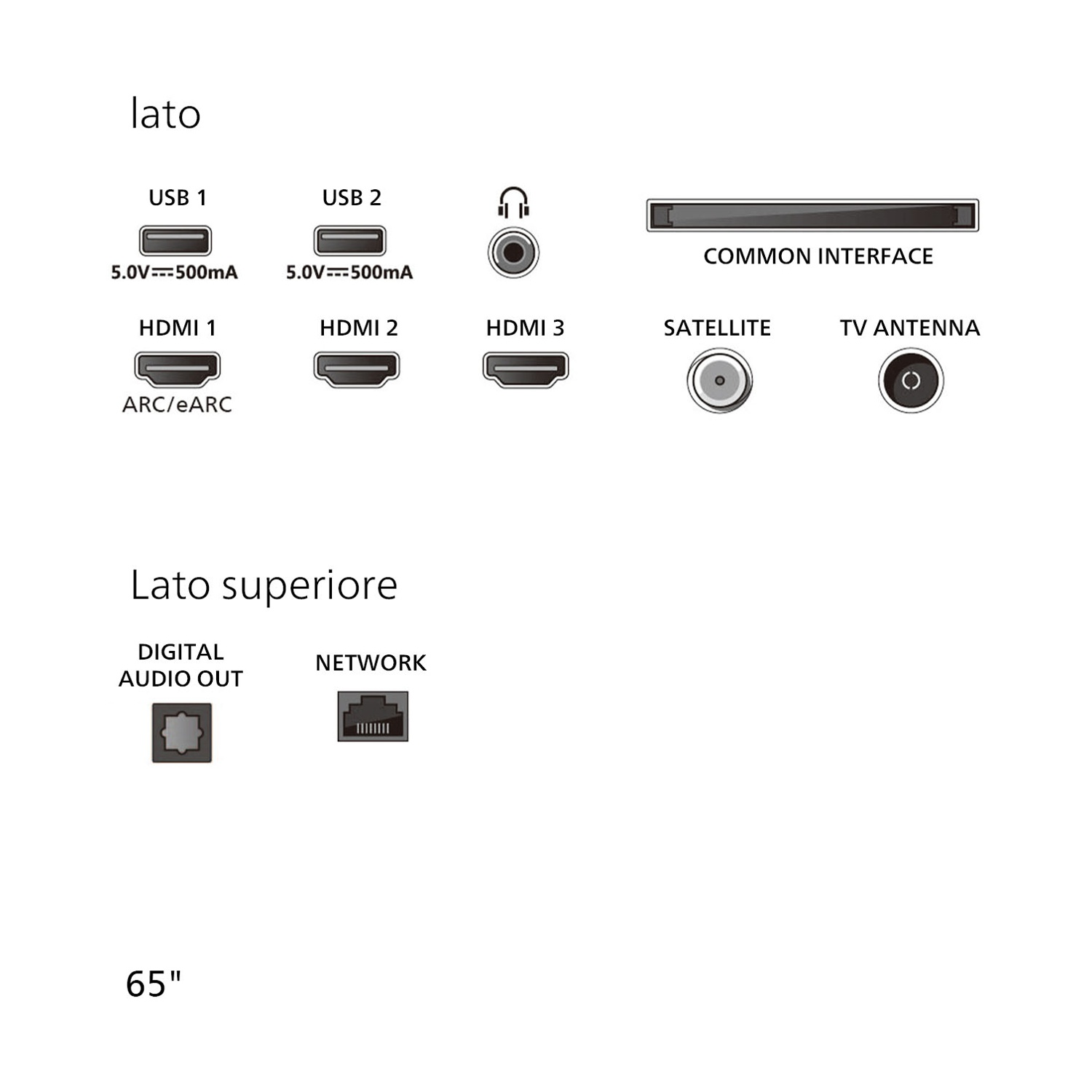 Pannello TV con porte USB, HDMI, audio, satellite e rete. Indica anche le dimensioni del televisore, che sono di 65 pollici.