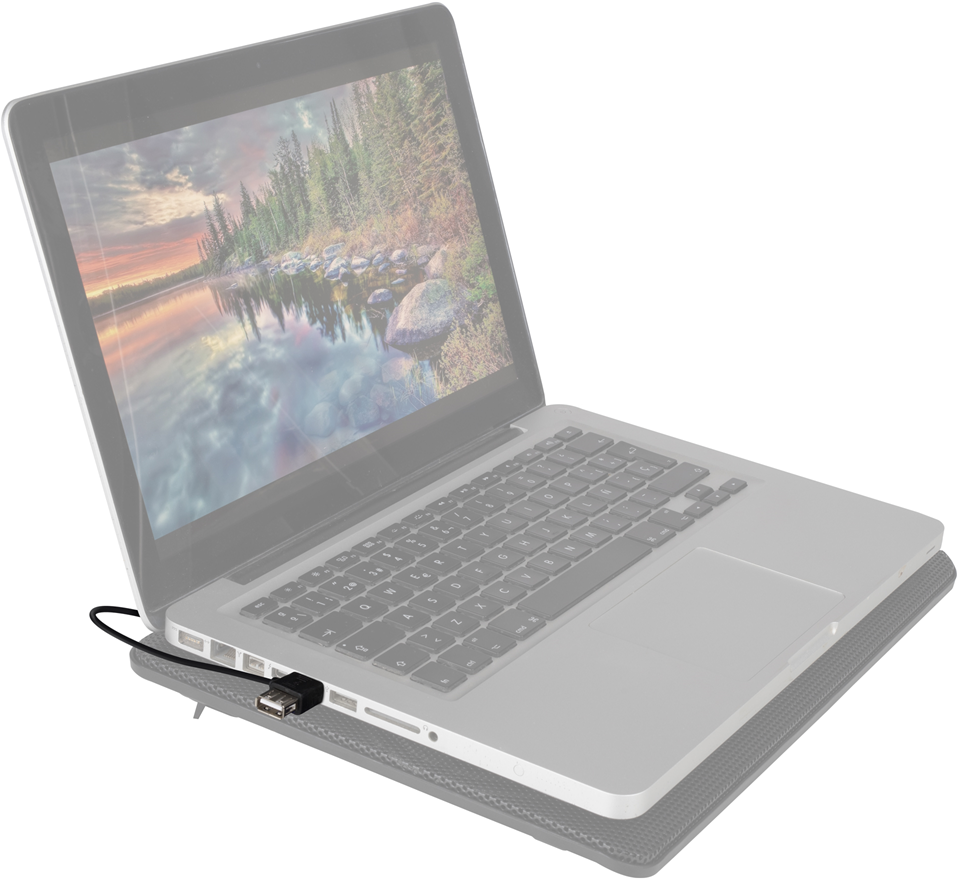 Laptop mit schwarzem USB-Kabel. Der Bildschirm zeigt eine Landschaft mit Bäumen und See. Der Laptop liegt auf einem Pad.