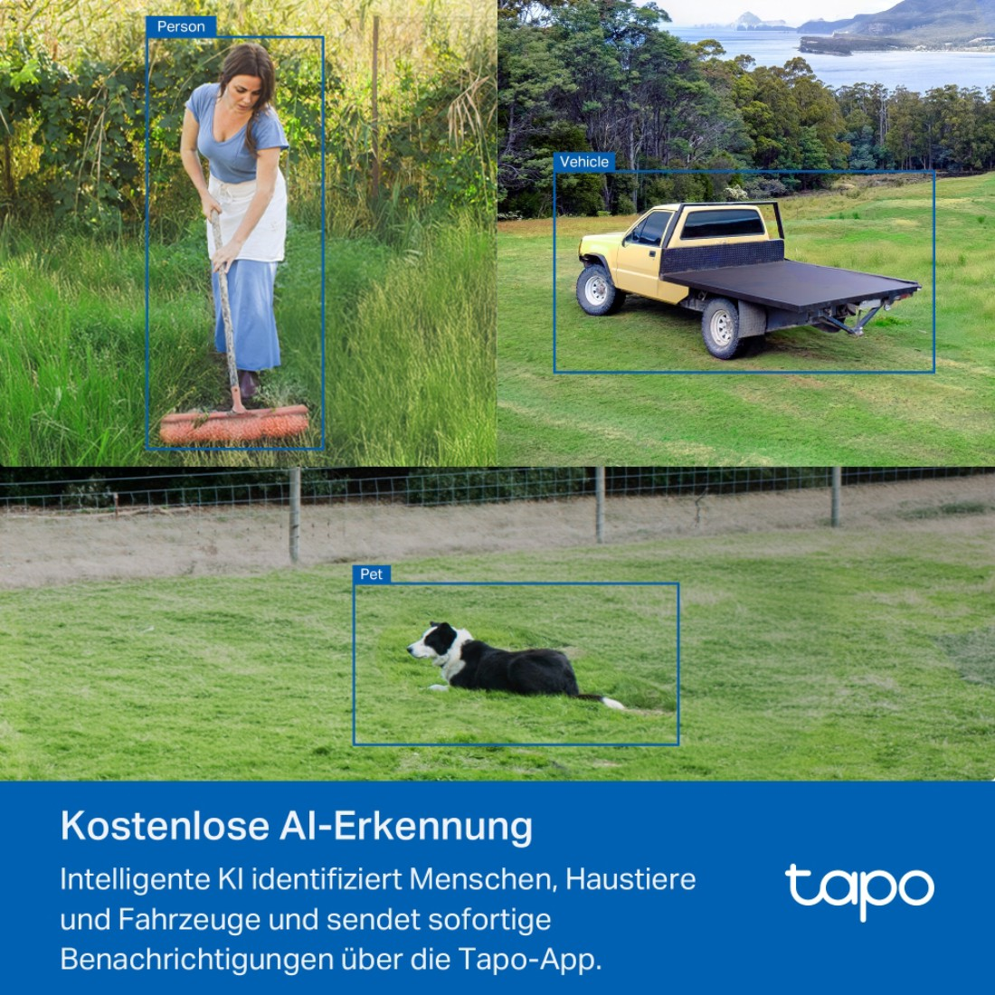 Eine Frau mit einem Besen, ein gelber Lastwagen und ein schwarz-weißer Hund auf einem grünen Feld. Blaue Tapo-Werbung.