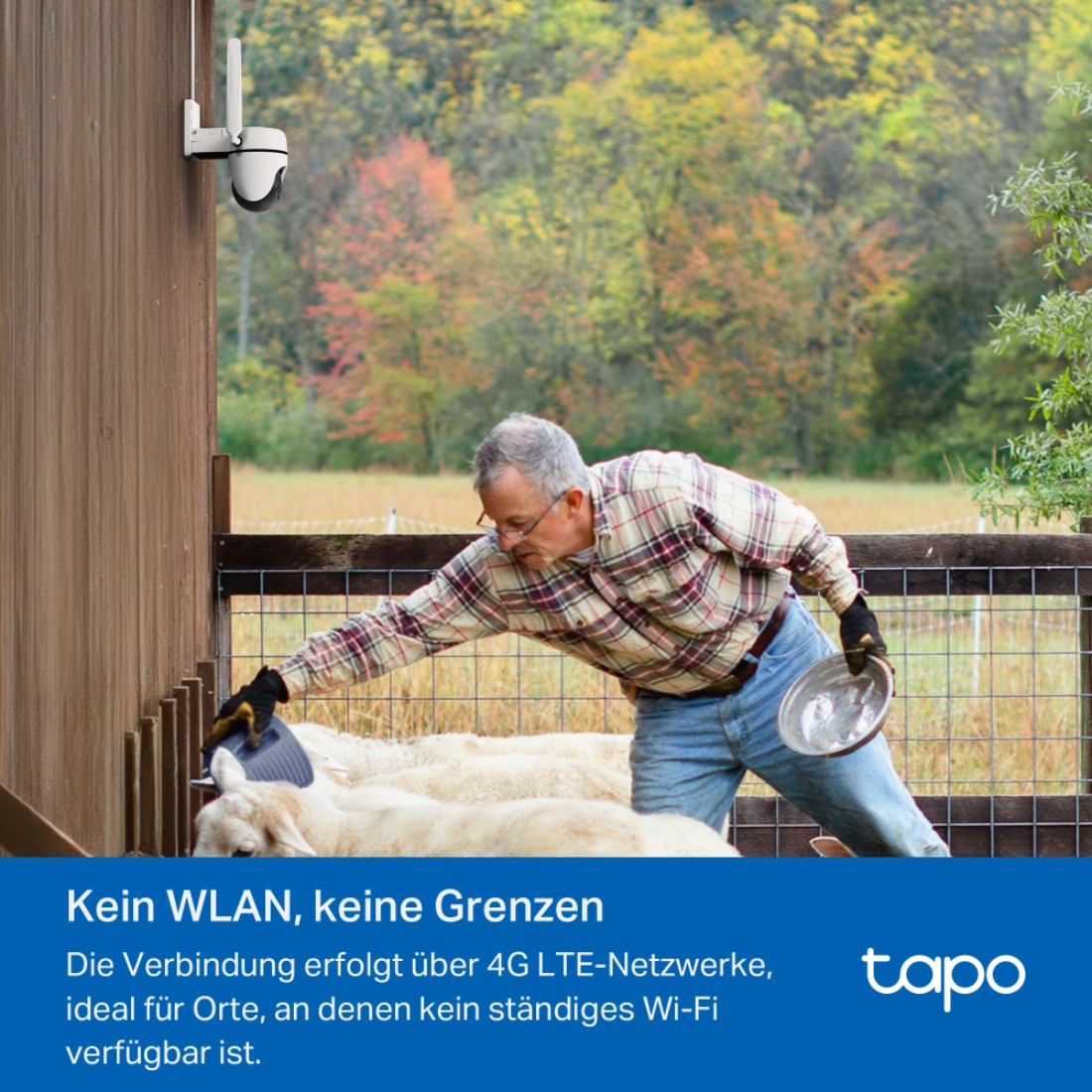 Ein Mann füttert Schafe. Eine Überwachungskamera ist montiert. Der Hintergrund ist ein Wald mit Herbstfarben.