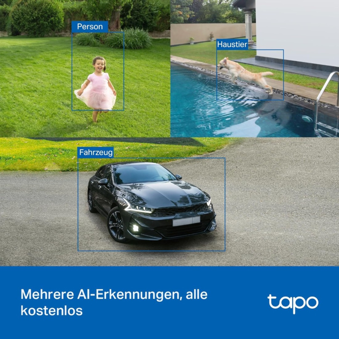 Ein Mädchen in rosa Kleid rennt auf Gras. Ein Hund springt in einen Pool. Ein schwarzes Auto parkt auf Beton.
