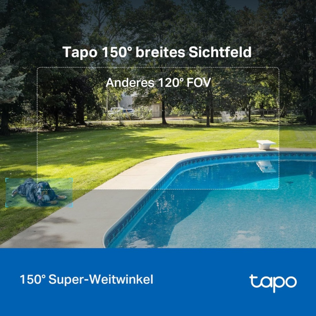 Ein Hund liegt am Pool. Die Szene umfasst grünes Gras, Bäume und Text über ein 150° weites Sichtfeld.